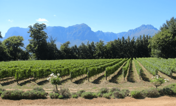 Screen Shot 2014-03-03 at 11.34.34 PM